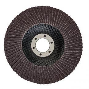 Flap disc 